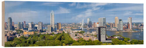 Puutaulu Rotterdam Panorama from Euromast