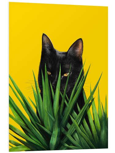 Tableau en PVC Black Cat in Leaves