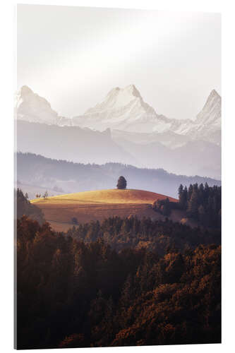 Acrylic print A Single Tree in Front of The Bernese Alps