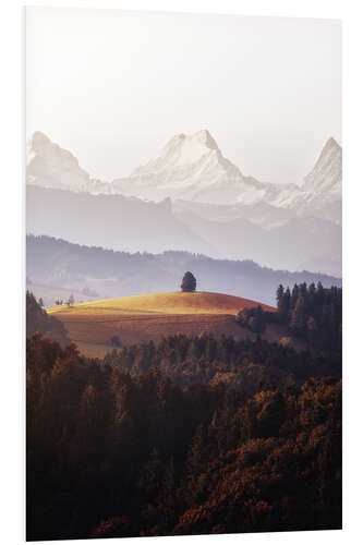 Cuadro de PVC A Single Tree in Front of The Bernese Alps