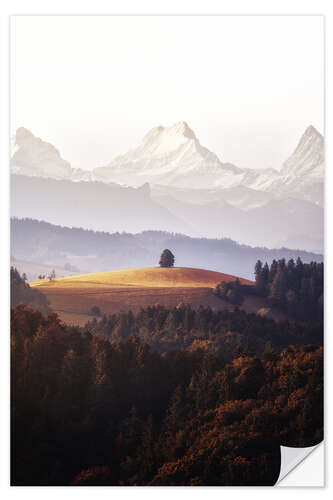 Muursticker A Single Tree in Front of The Bernese Alps