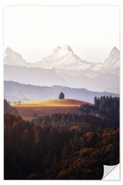 Muursticker A Single Tree in Front of The Bernese Alps