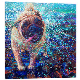 Foam board print Queen Elizabeth's Pug