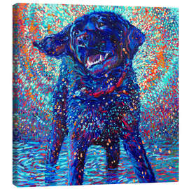 Tableau sur toile Canines And Colour