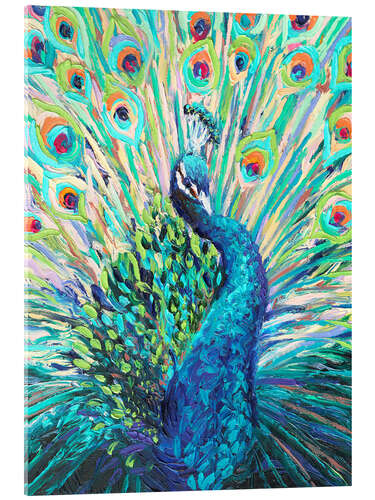 Acrylglasbild Blauer Pfau