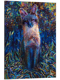 Cuadro de aluminio Equinox - Iris Scott