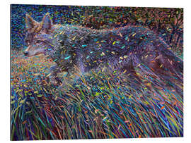 Galleriprint Coyote Satin