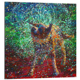 Tableau en aluminium Collie