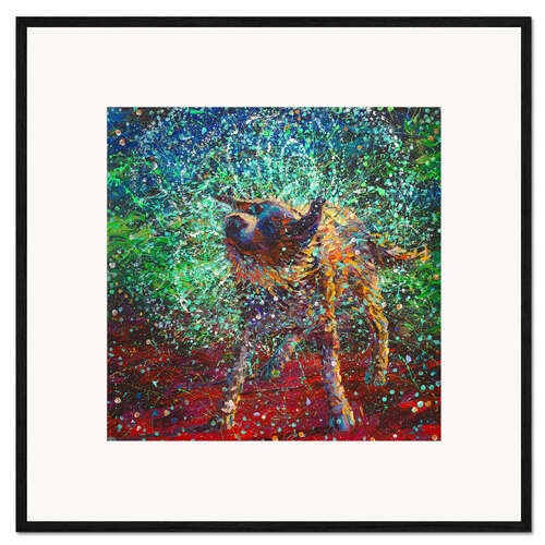 Gerahmter Kunstdruck Collie