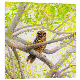 Tableau en PVC Owl on a Tree Branch