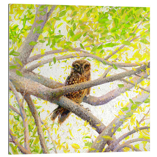 Gallery print Owl on a Tree Branch