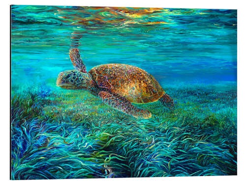 Alumiinitaulu Swimming Turtle