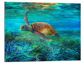 Cuadro de plexi-alu Swimming Turtle