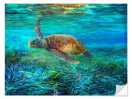 Sticker mural Swimming Turtle