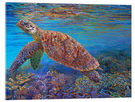 Akryylilasitaulu Hawksbill Turtle