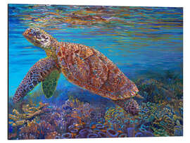 Stampa su alluminio Hawksbill Turtle