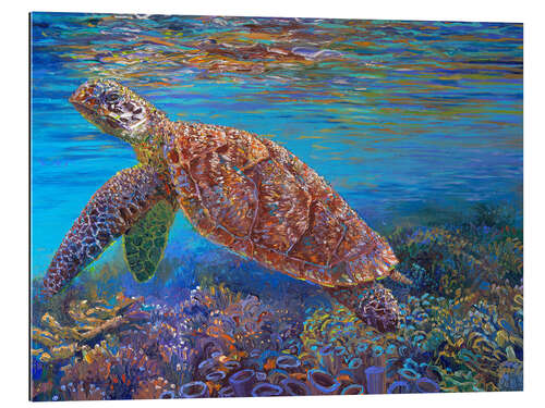 Gallery print Hawksbill Turtle