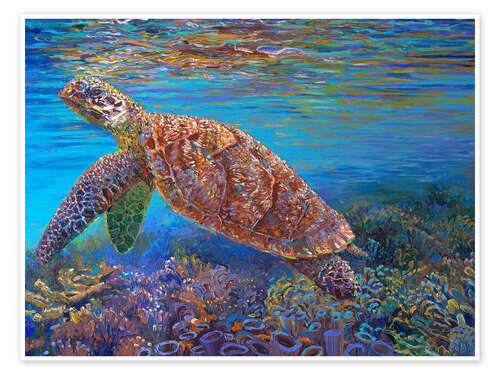 Poster Hawksbill Turtle