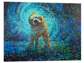 Foam board print Labrador Jazz