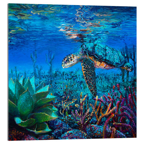 Gallery print Loggerhead