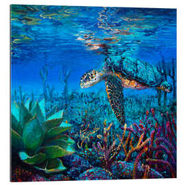 Galleriprint Loggerhead