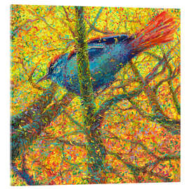 Acrylglasbild Yellow Bluebird