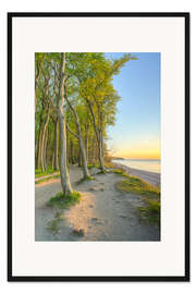Gerahmter Kunstdruck Küstenwald an der Ostsee bei Warnemünde