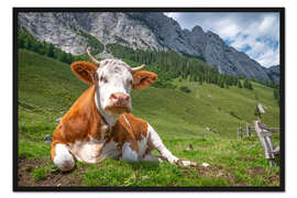 Gerahmter Kunstdruck Kuh in den Bergen