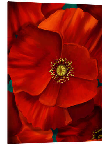 Acrylic print Poppy Power