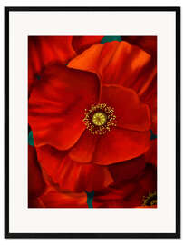 Kehystetty taidepainatus Poppy Power