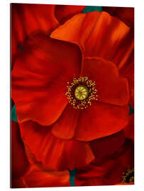 Gallery print Poppy Power