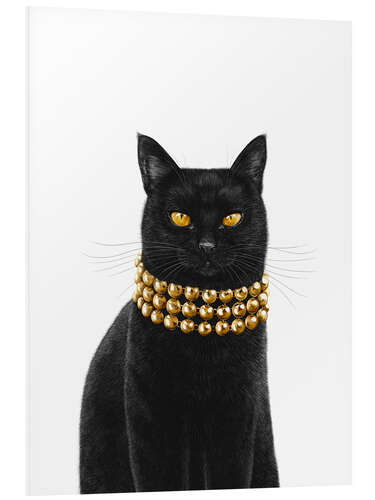 Foam board print Luxury Black Cat