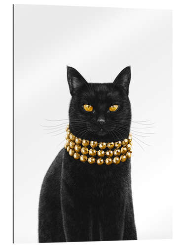 Gallery print Luxury black cat