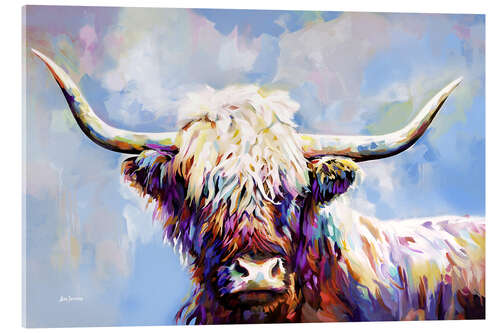 Acrylic print Highland Cow