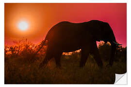 Sticker mural Elephant at Sunset in South Africa