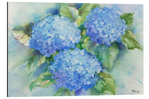 Aluminium print Sky Blue Hydrangea