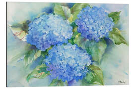 Aluminiumtavla Sky Blue Hydrangea