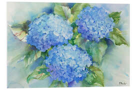 Foam board print Sky Blue Hydrangea