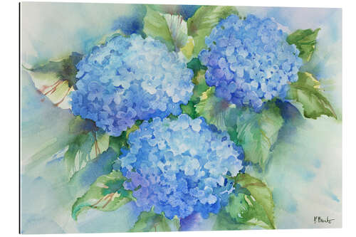 Galleritryk Sky Blue Hydrangea