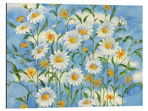 Aluminium print Heavenly Daisies