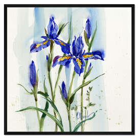 Gerahmter Kunstdruck Blue Iris