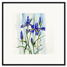 Gerahmter Kunstdruck Blue Iris