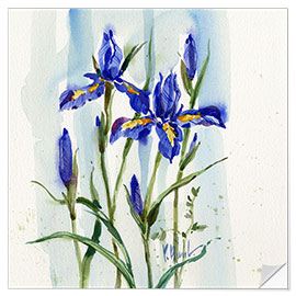 Selvklebende plakat Blue Iris