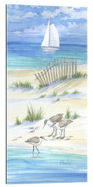 Gallery print Sand Plover