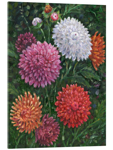 Acrylic print Impressions of Dahlias