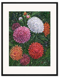Gerahmter Kunstdruck Impressions of Dahlias