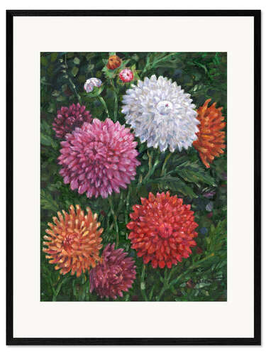 Kunsttryk i ramme Impressions of Dahlias