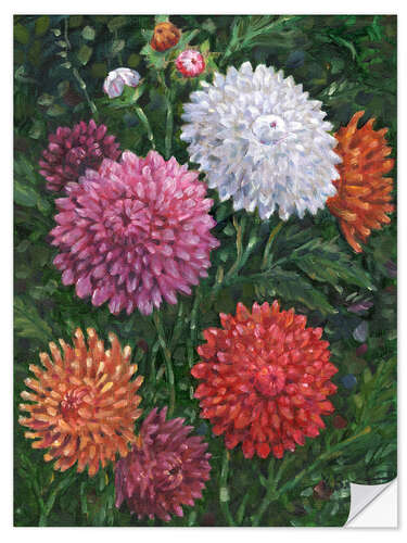 Selvklebende plakat Impressions of Dahlias