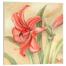 Galleritryk Amaryllis