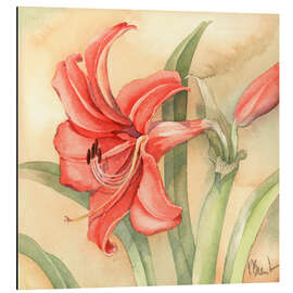 Magnettafel Amaryllis